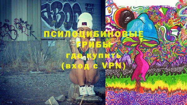 крисы Алзамай