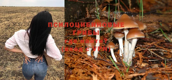 кокаин колумбия Алексин